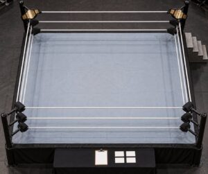 how tag team titles are defended across brands