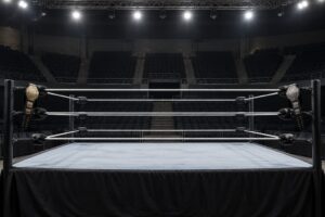 how new japan pro wrestling differs from wwe