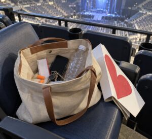 what to bring to a live wrestling event